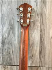 WASHBURN GUITARS D94LTD